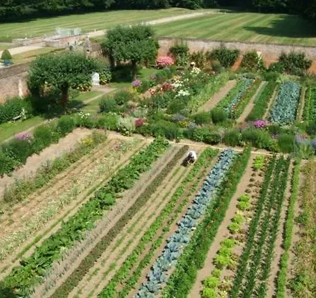 米洛美思城堡酒店 2*