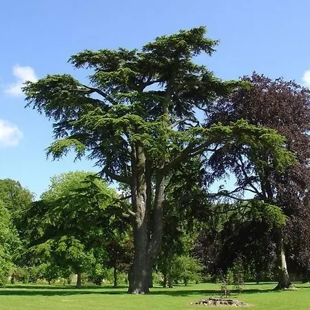 Chateau De Miromesnil 2* Tourville-sur-Arques